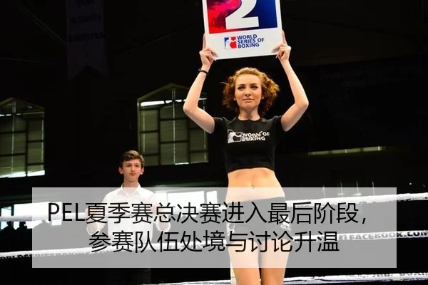 PEL夏季赛总决赛进入最后阶段，参赛队伍处境与讨论升温